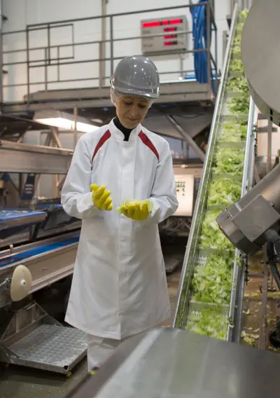 Kolekcja Food Line i Food Safety